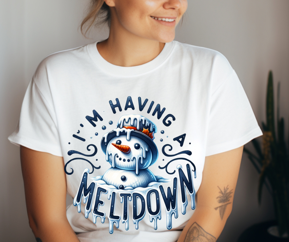 Meltdown T-Shirt ☀️❄️
