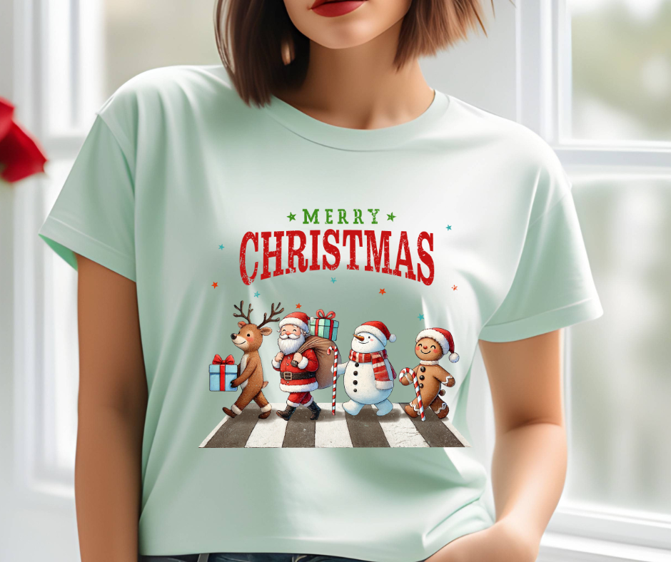 Merry Christmas T-shirt πβ¨π