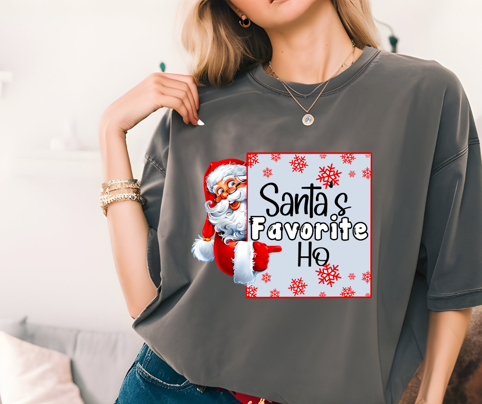 Santa's Favorite Ho T-Shirt š
š